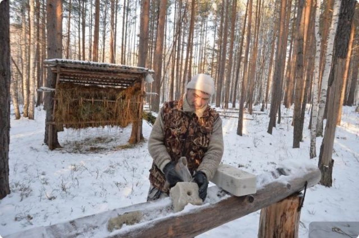   В охотничьих хозяйствах Среднего Урала подкармливают диких животных