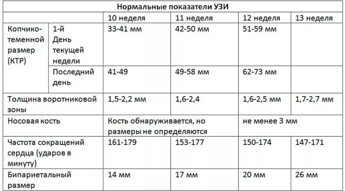 3D и 4D УЗИ при беременности: как получить фото и видео с ребёнком до родов