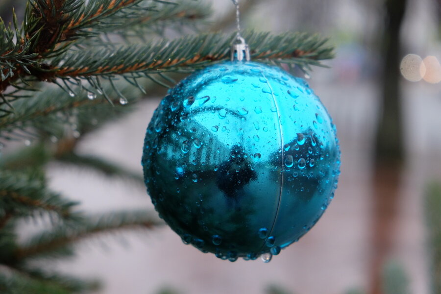 Фото: Иван Марков / Новый Калининград