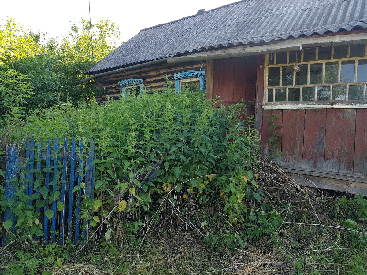 Фото автора. Еще недавно здесь жила добрая и приветливая бабушка