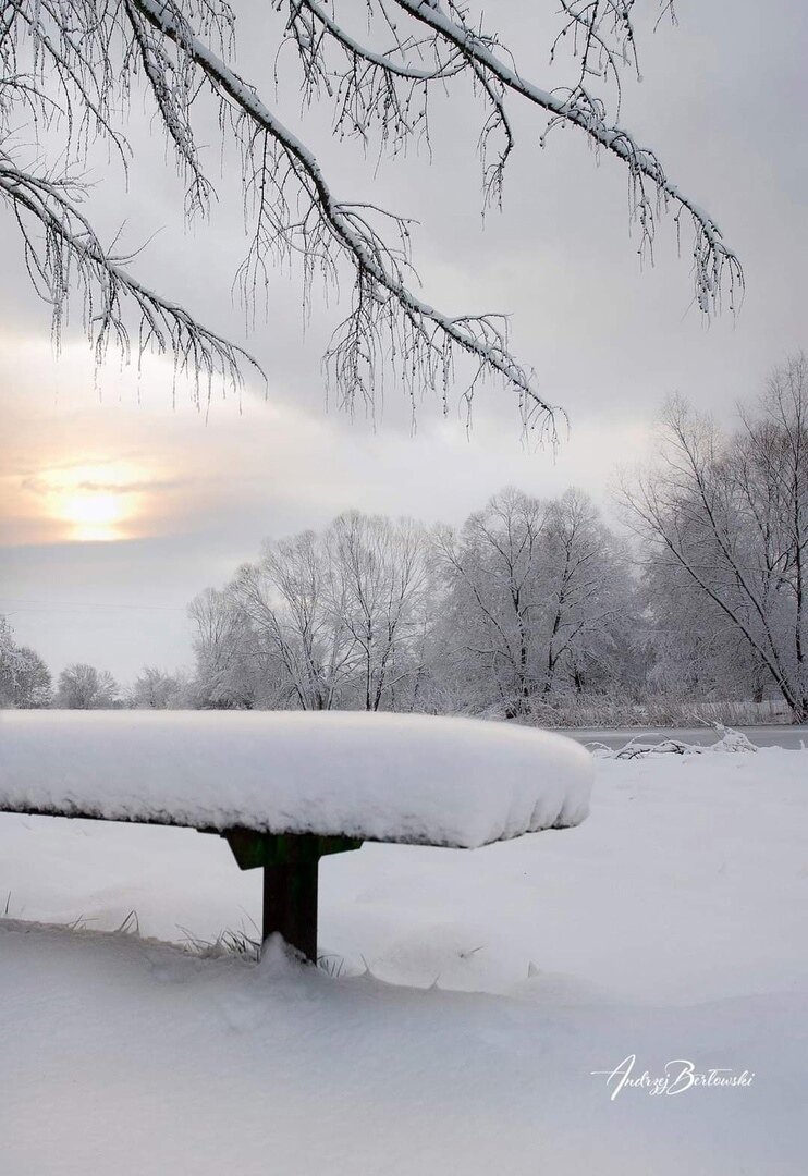 иллюстрация из яндекс картинки.