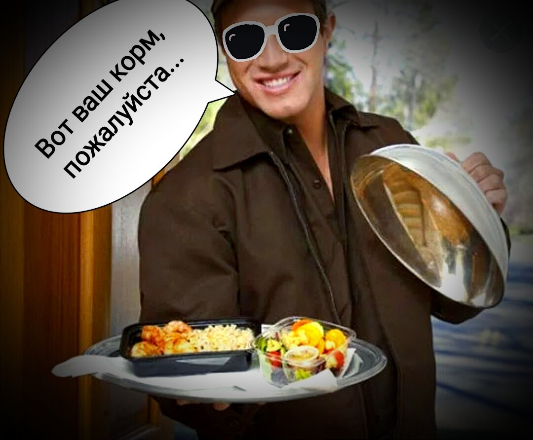 Штирлиц даже не осознавал, насколько близок он был к провалу...