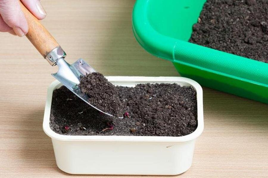 Майл. Картинки