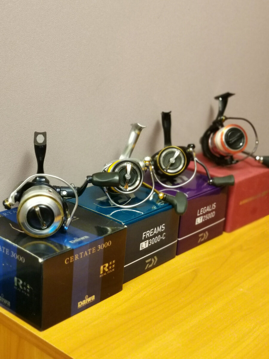 Мои рабочие сезона 2022