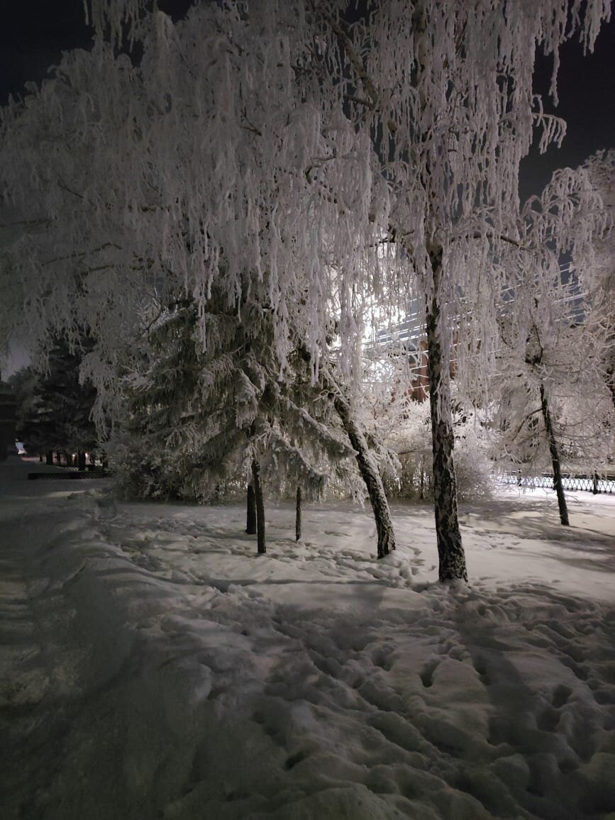 Личное фото