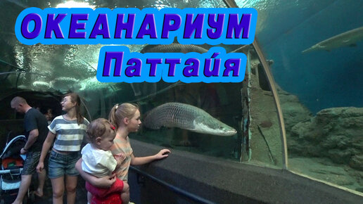 Съездили в Океанариум в Паттайе Underwater World Pattaya