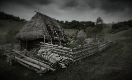 картинка из общего доступа