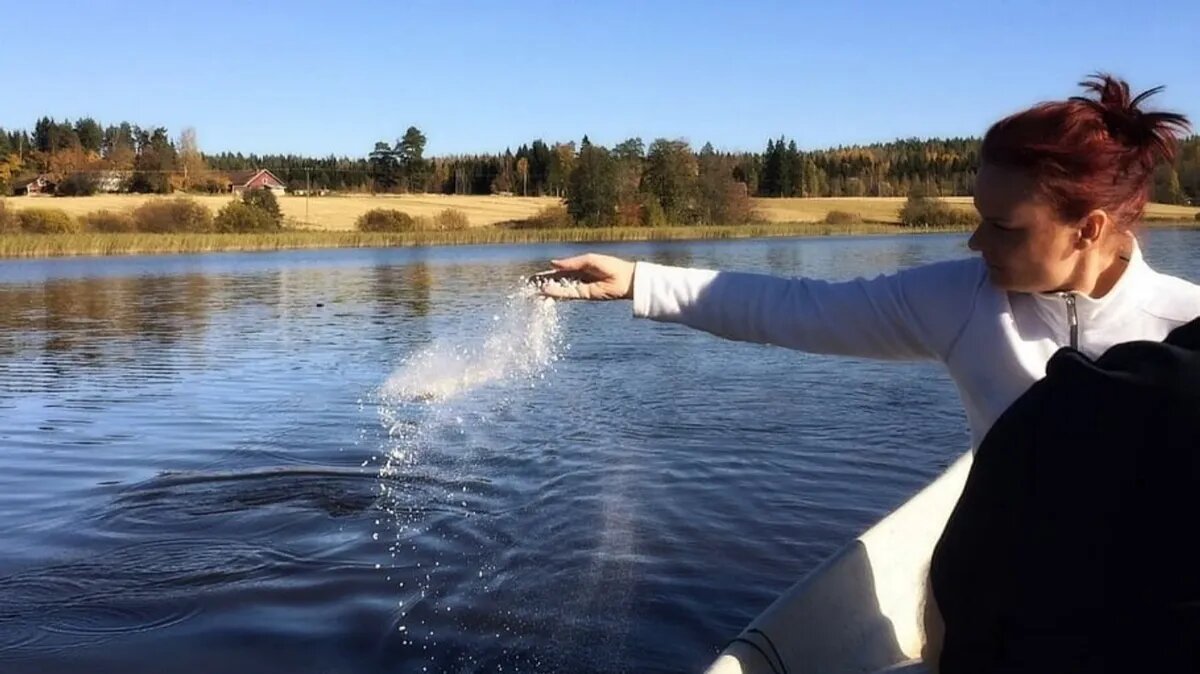 Вы можете развеять прах близкого человека в месте, которое имеет для него особое значение. Фото: pxhere.com