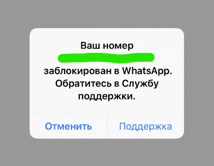 Если тебя заблокировали в WhatsApp: как разблокировать