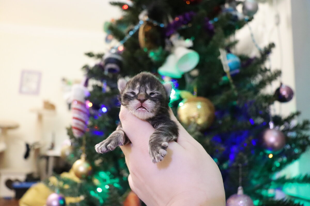 Фото из личного архива.