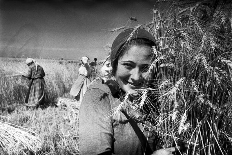 Труд - не просто зарабатывание денег, но и возможность реализовать себя как личность