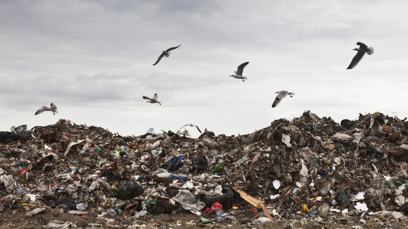   Gettyimages.ru WALTER ZERLA