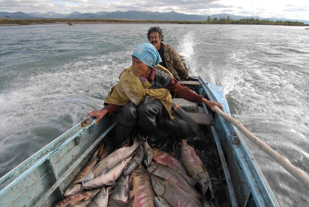Картинка взята из открытого доступа сети интернет на Яндекс картинки
