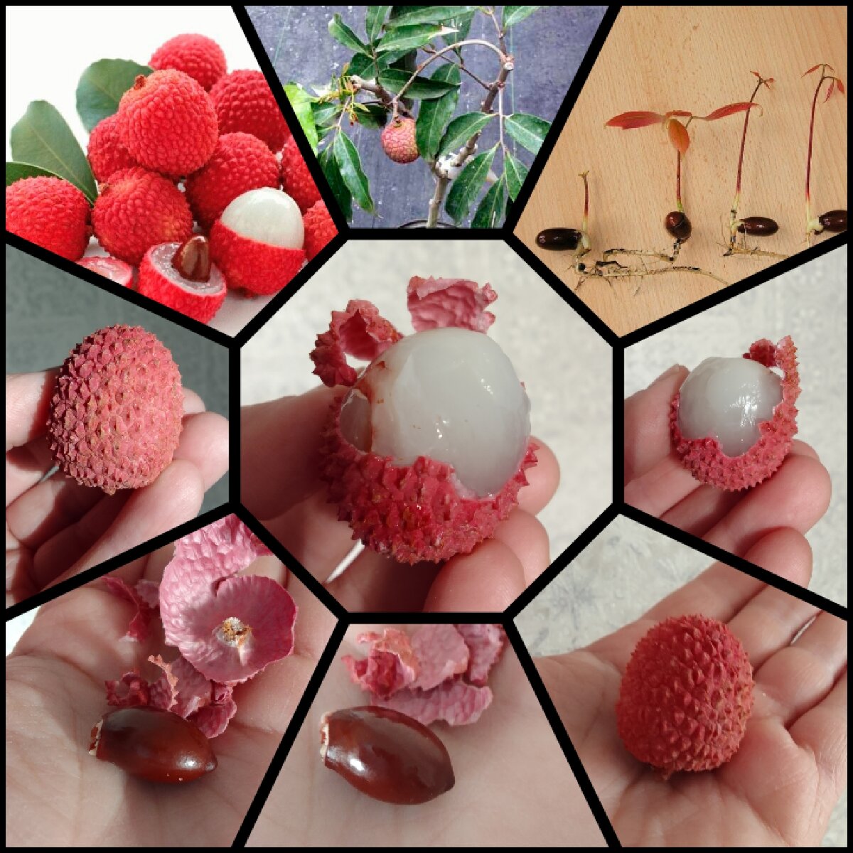 Коллаж "личи"