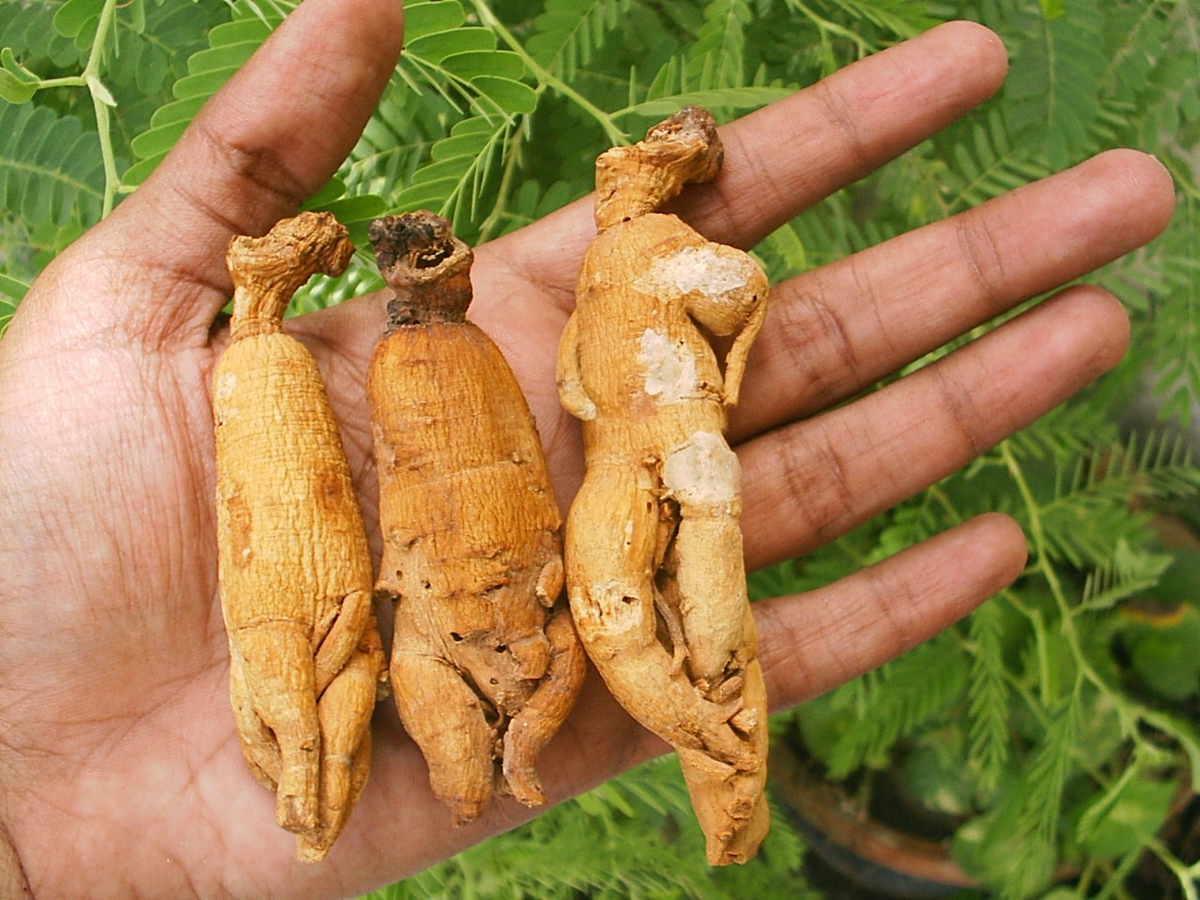 Когда сделал заказ на алиэкспрессе, а пришло вообще не то, что было на картинке