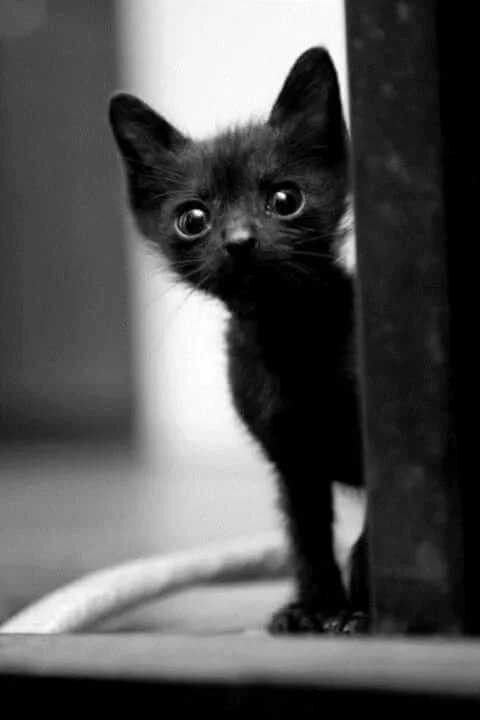 Фото из Pinterest 