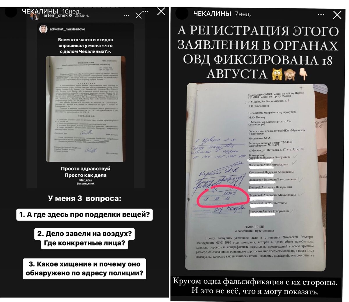    Сторис Эльвиры Янковской в Инстаграме (запрещен в РФ)