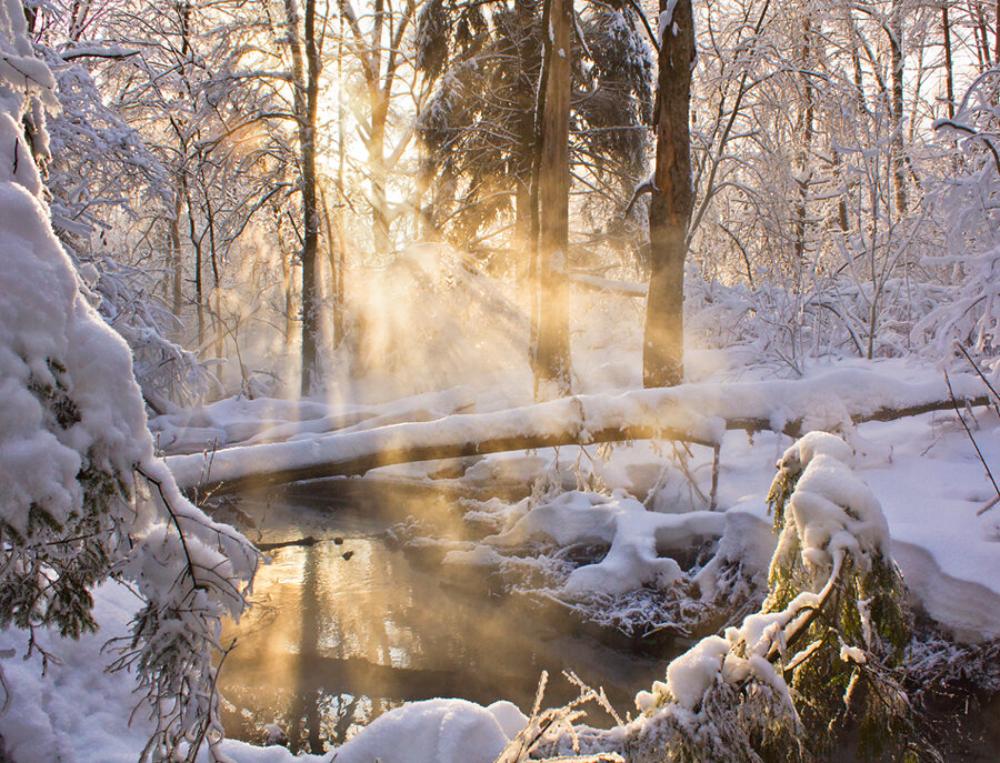 Изображение из открытых источников