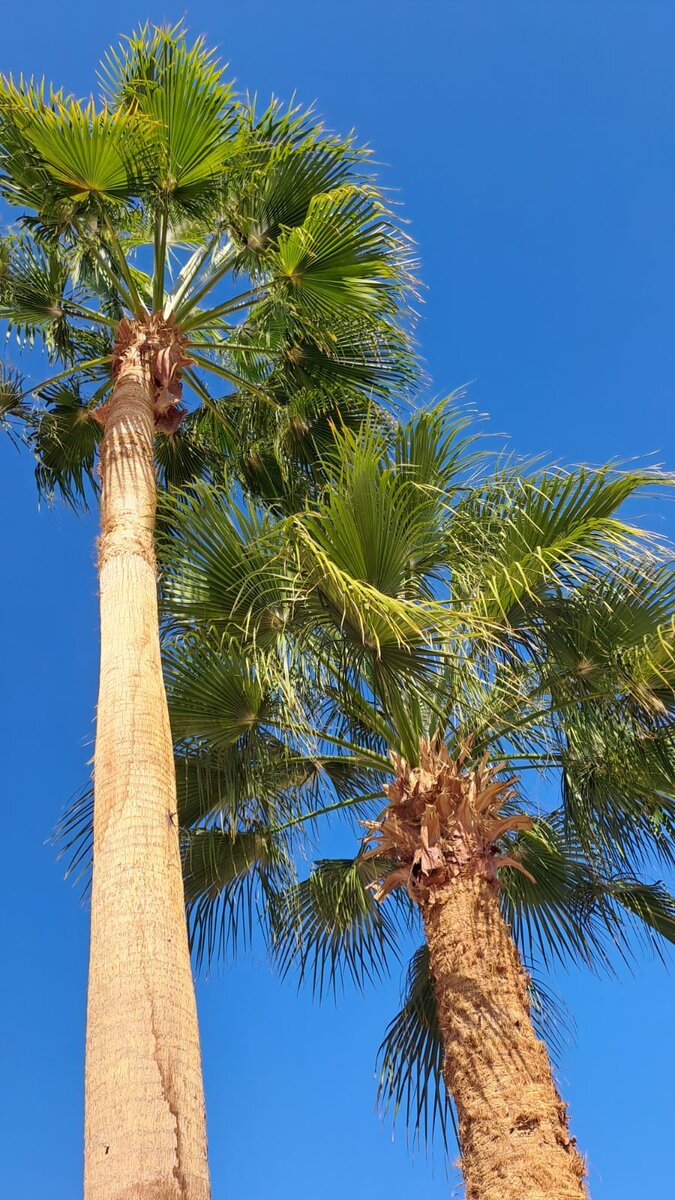 Моё фото для Дзена.