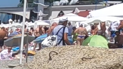 Великий Чиптюнер | пляж багратион Лазаревское | Дзен