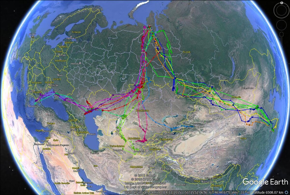 Карта перелет гусей