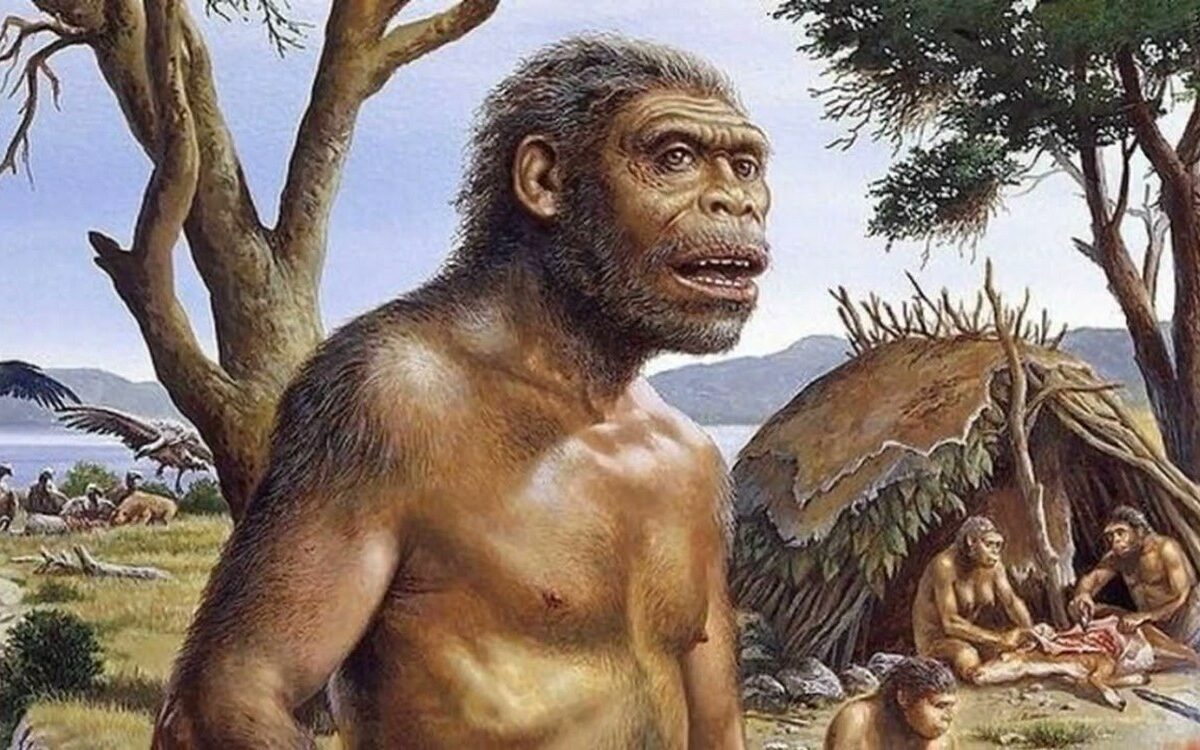 Человек-прямоходящий