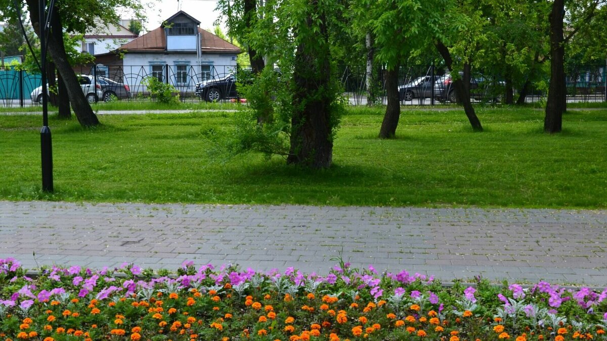     В городской колонии-поселении № 3 должны вырастить 25 тысяч бархатцев к началу лету.