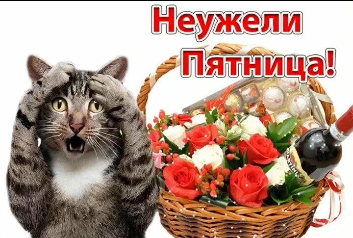 Источник Яндекс картинки