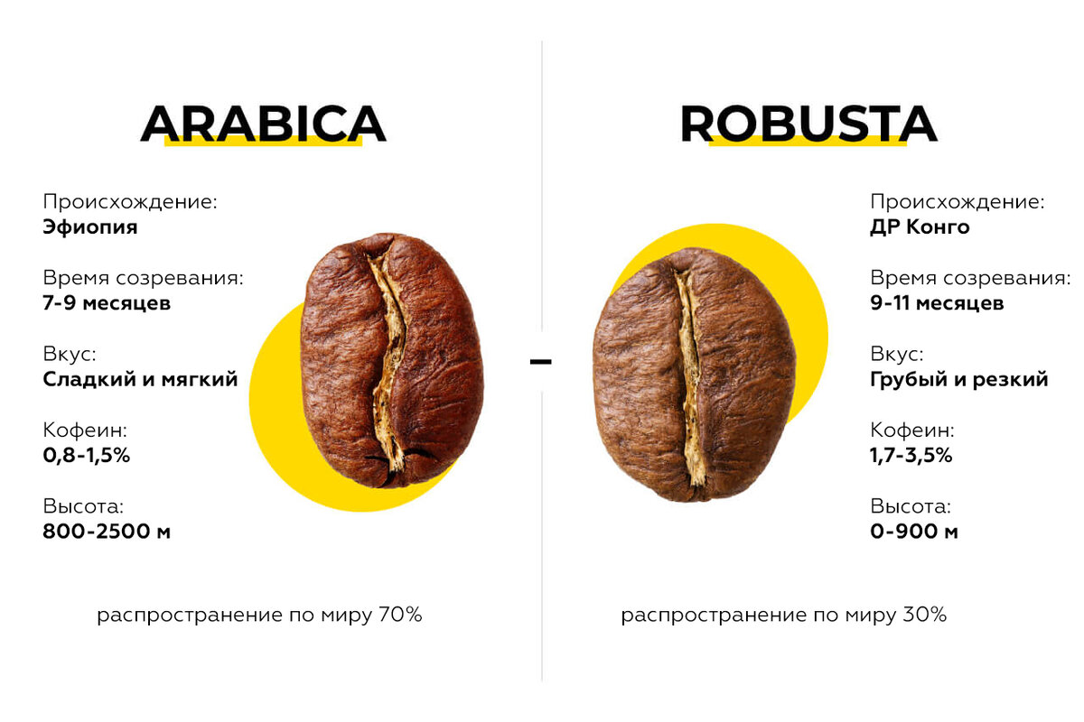 Арабика и робуста отличия фото