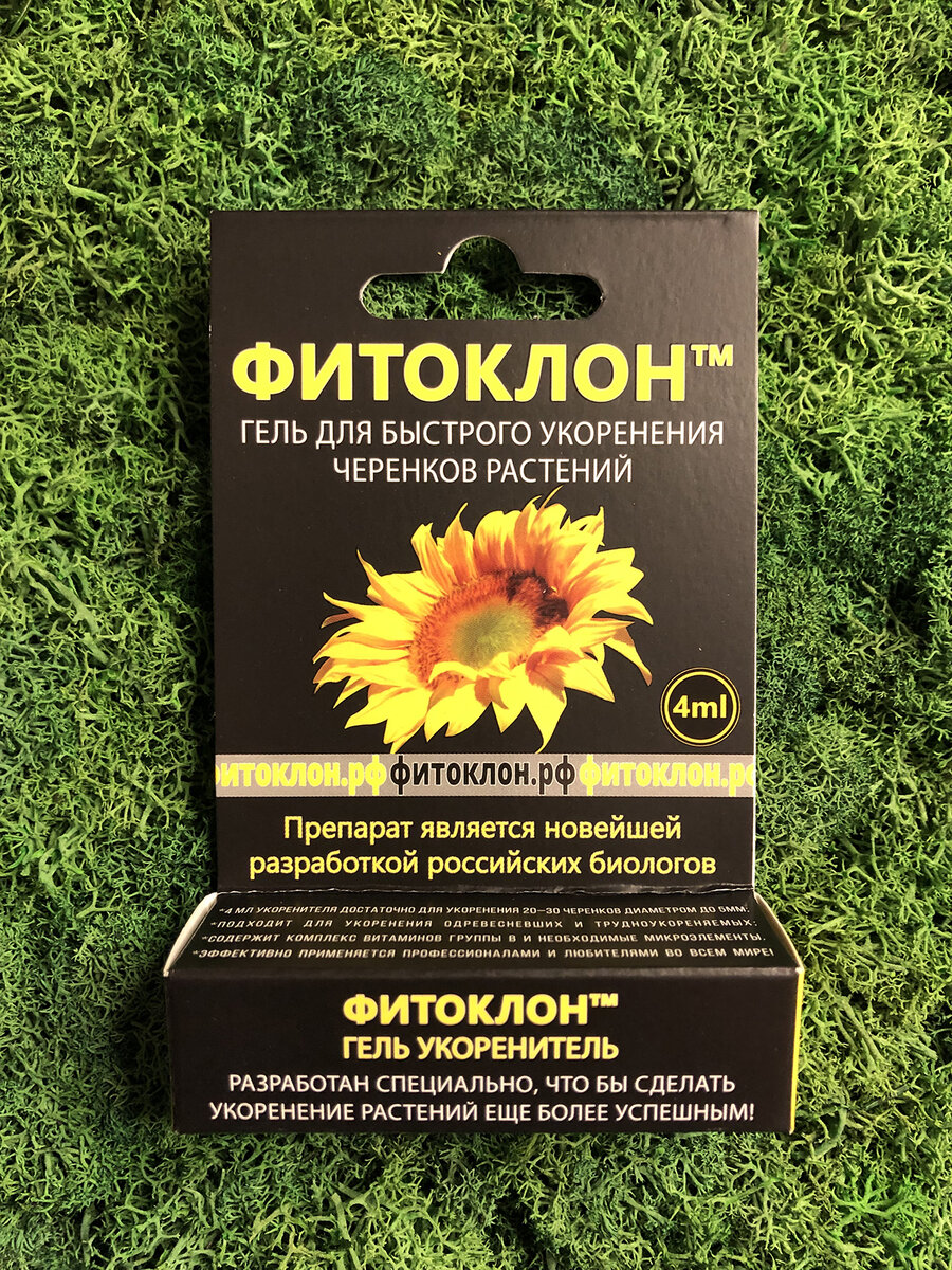 Фитоклон для укоренения