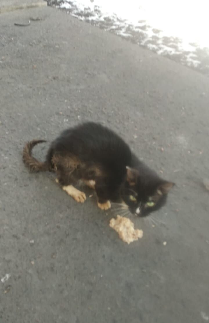 На улице, до случившегося
