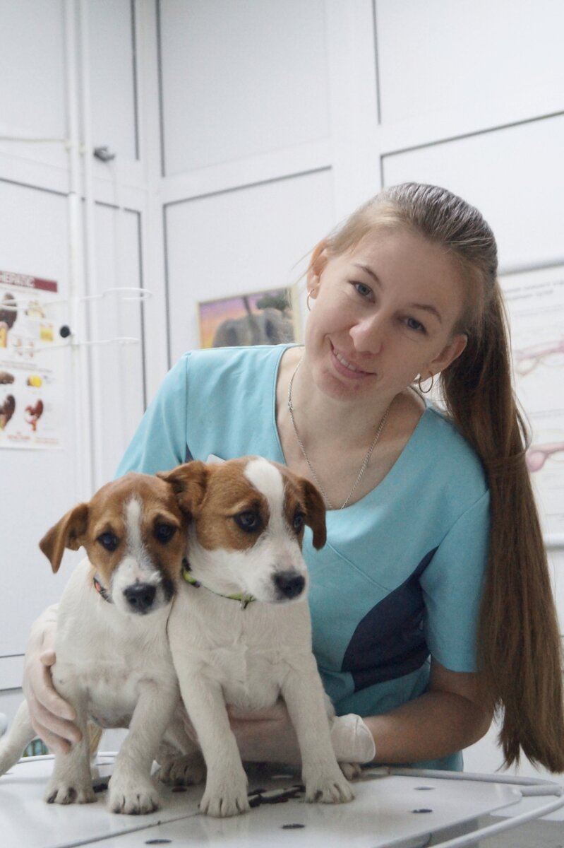 Щенки на 1первой прививке