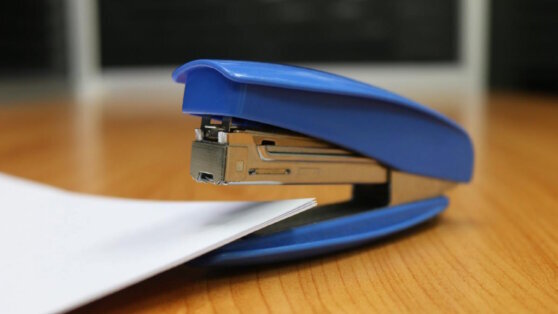    Какой сегодня праздник: 5 марта – День рождения степлера Алина Городниченко