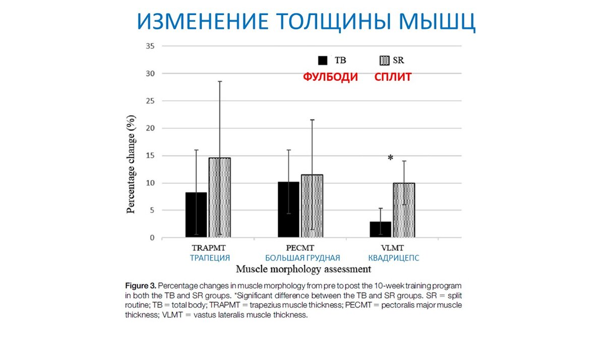 Сплит или Фулбоди? Снова про частоту силовых тренировок | Василий Волков |  Дзен