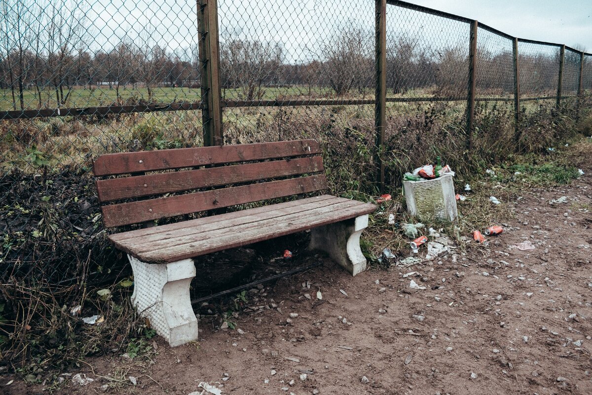 Площадка для собак в Пискарёвском парке. Санкт-Петербург