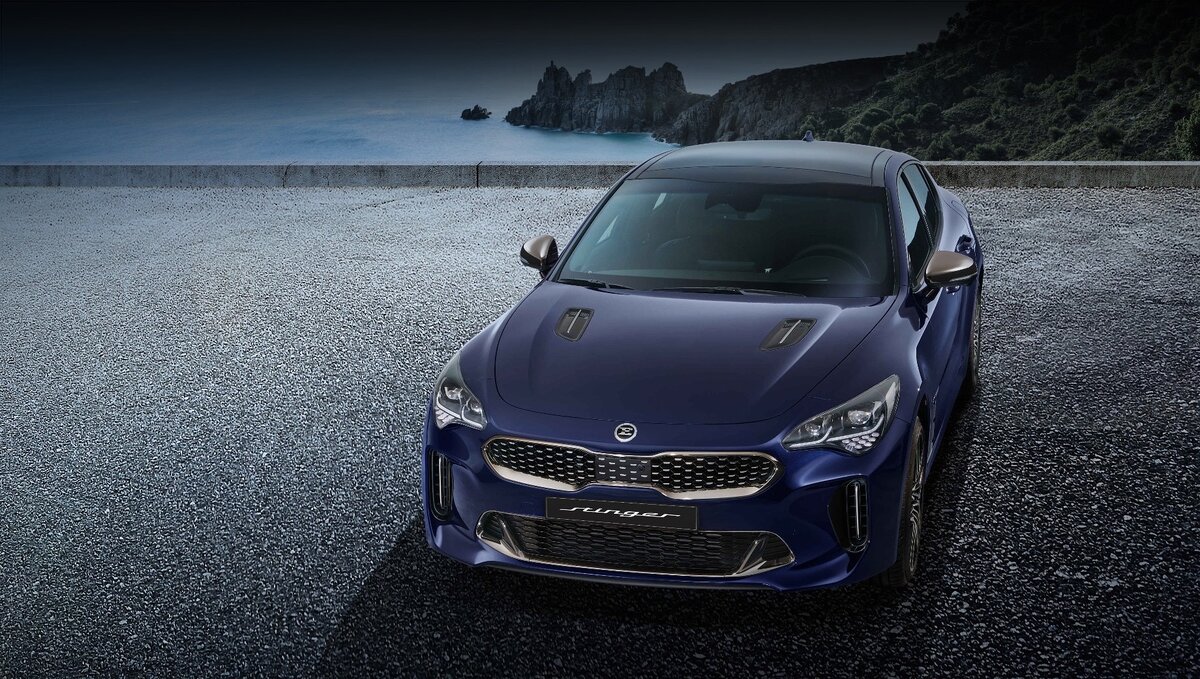 Обратите внимание на шильдик на капоте