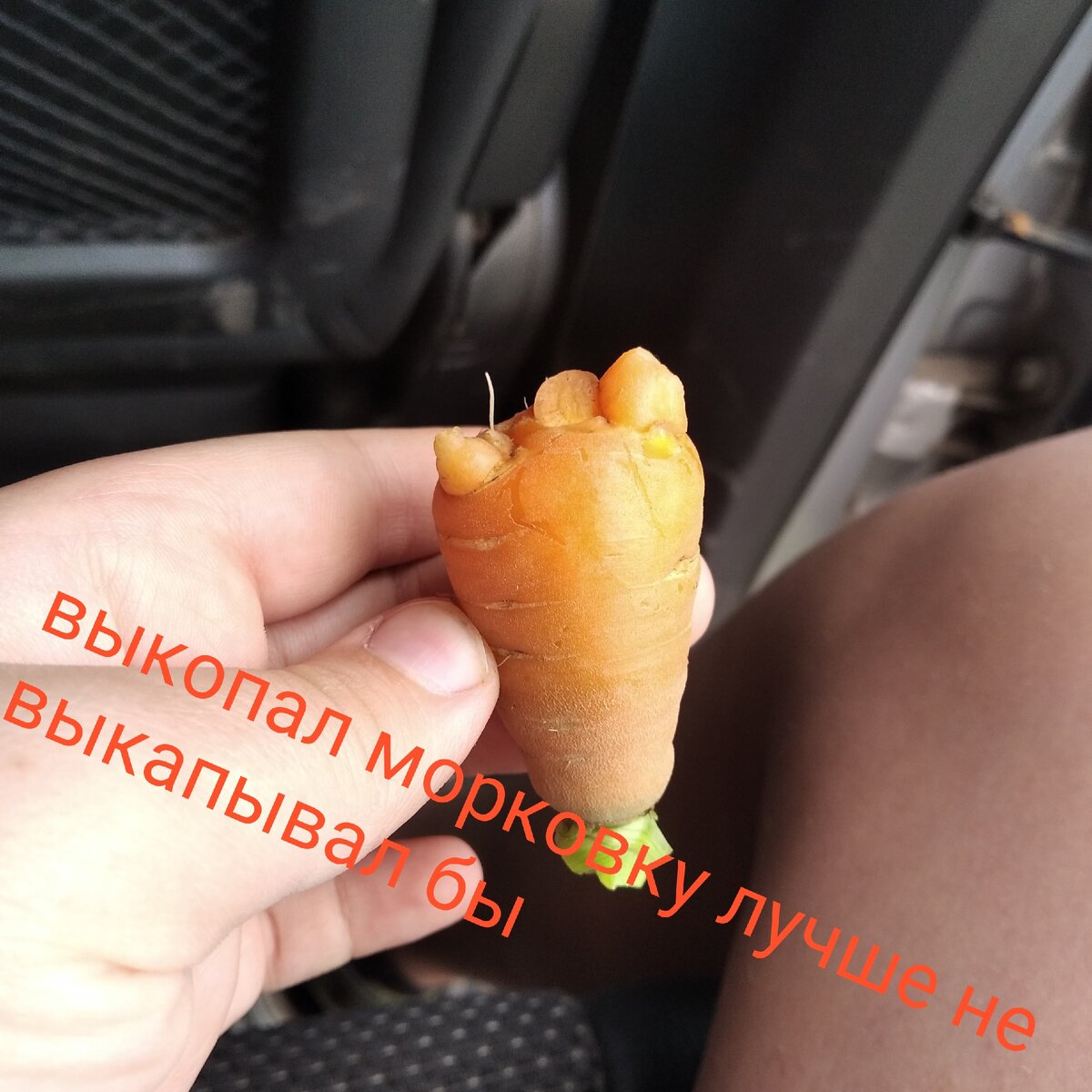 Вкусная наверное