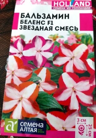 Однолетние цветы, которые обязательно посею в будущем году