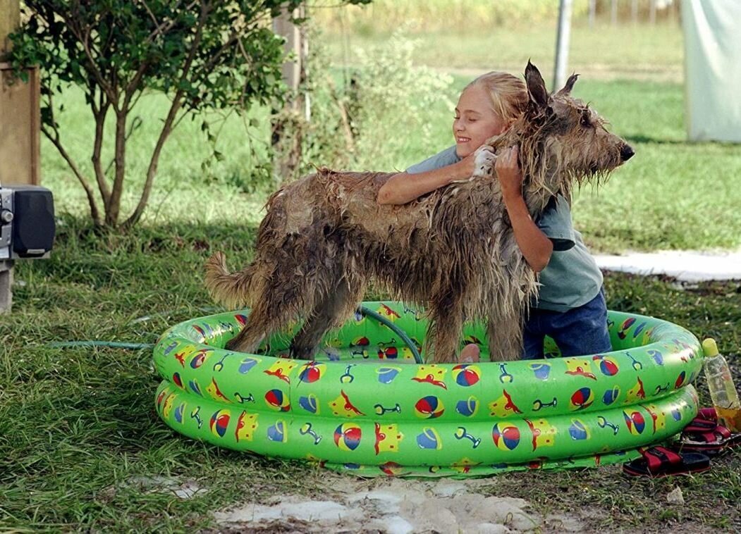  Благодаря Винн Дикси (2005)
