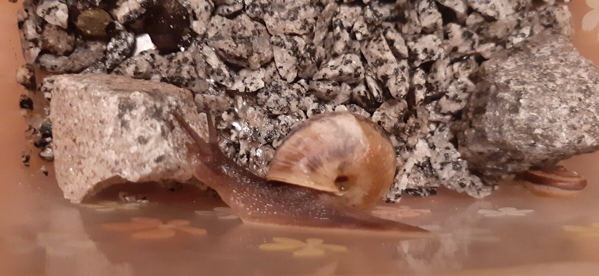 Красота вокруг нас!