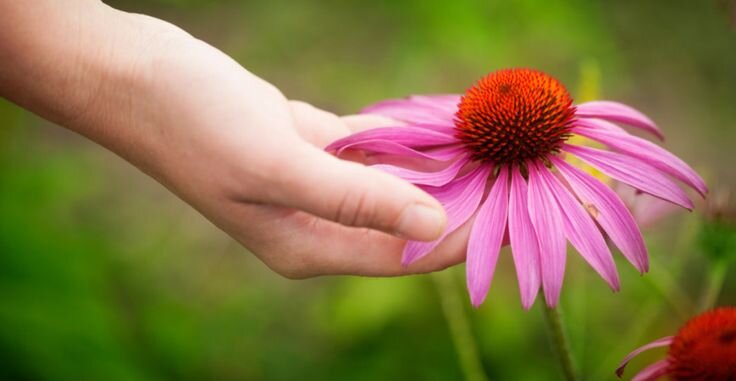 Фото из Яндекс.картинки
