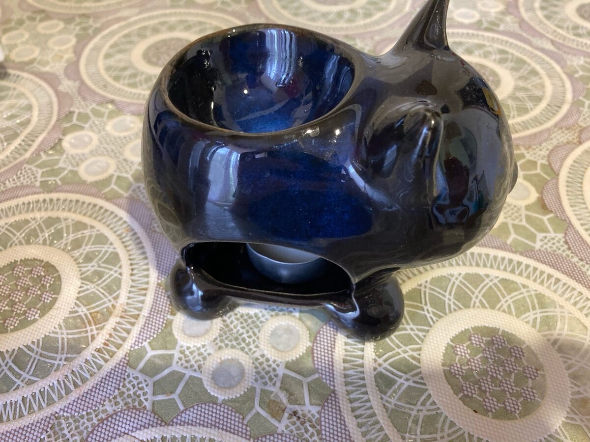 Аромакот, это как аромалампа, только кот) 