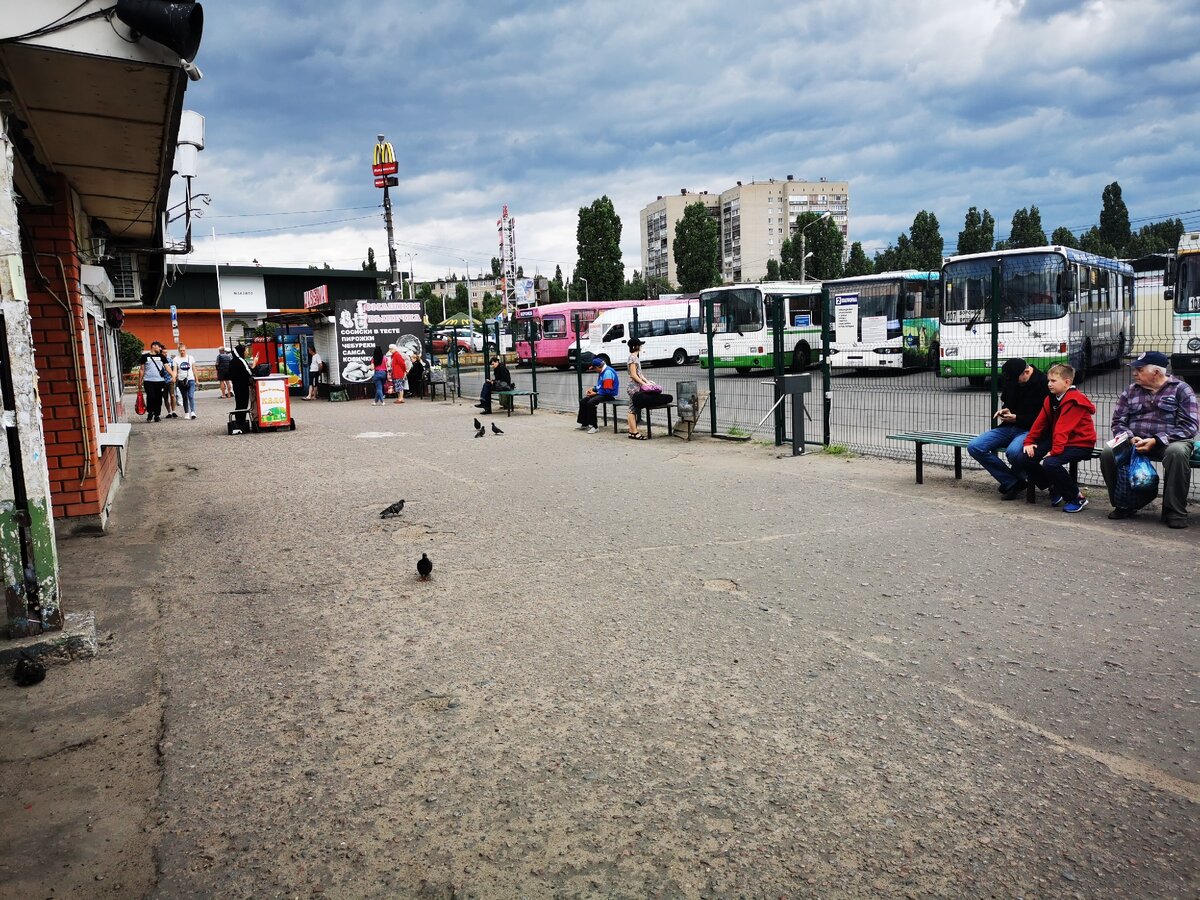 Ужасная Юго -Западная автостанция в городе Воронеж и как я про неё письмо  Путину писала. | СовеТоня | Дзен