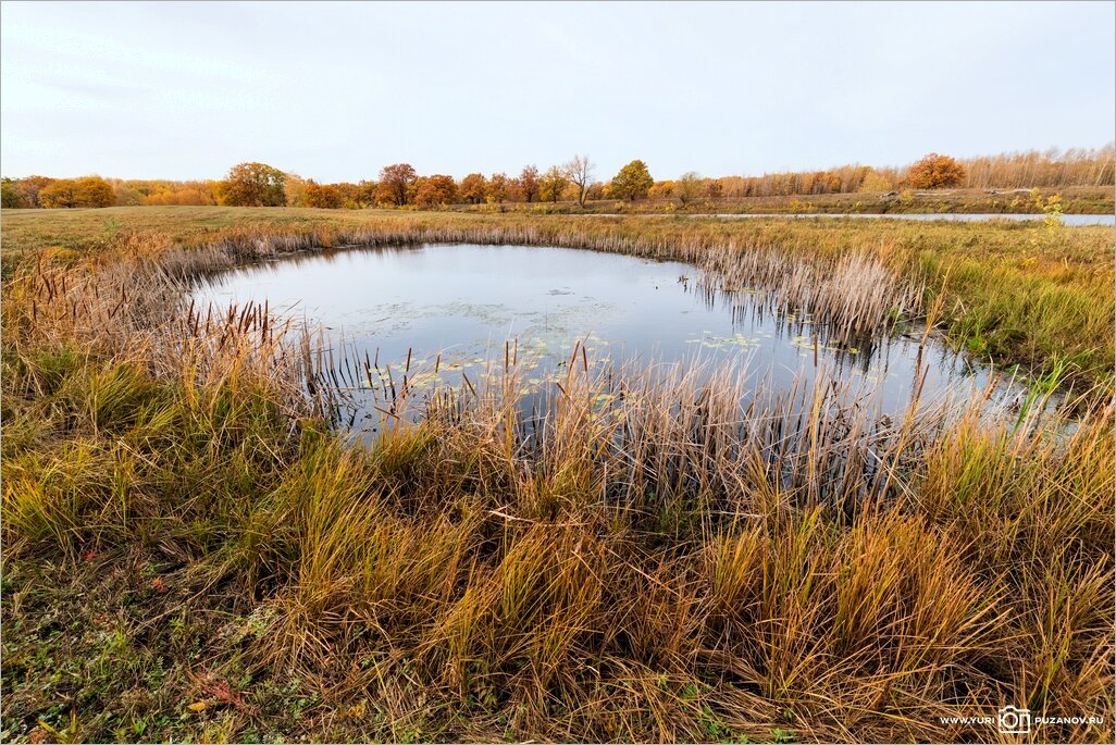 Село васильевка фото