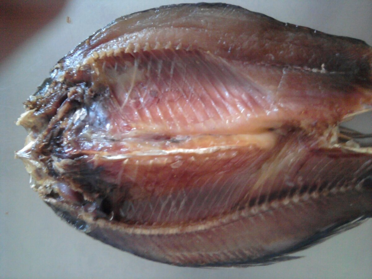 фото с открытого источника.