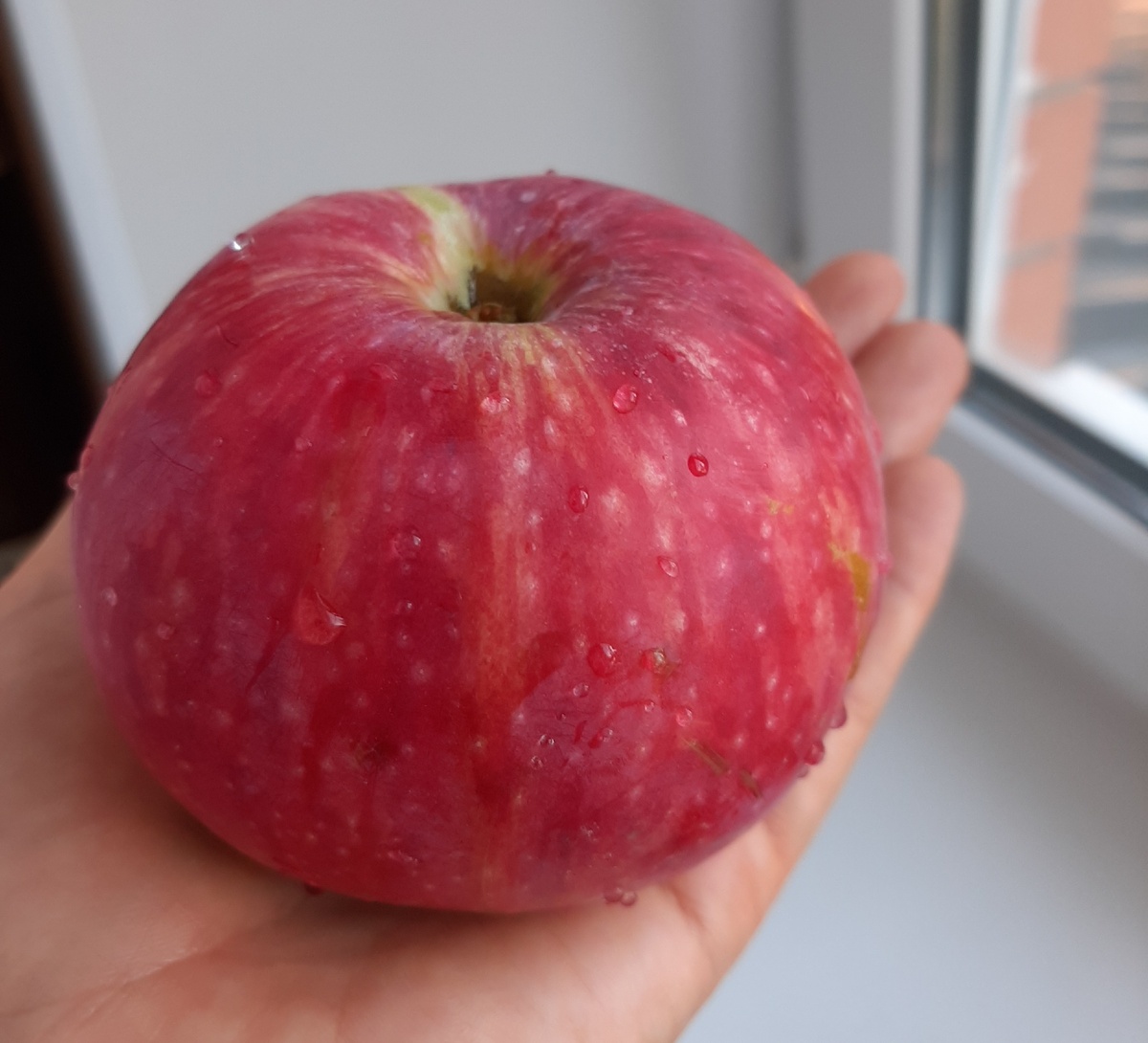 Природный воск остаётся на яблоках, если их правильно собирать 