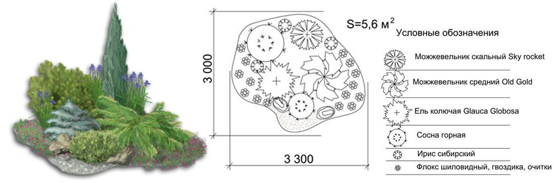 Рокарий схема с названиями растений