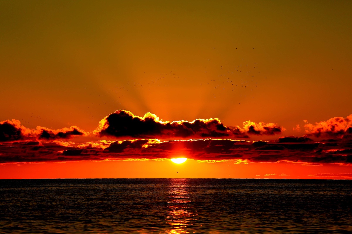 Фото by @tomsik85