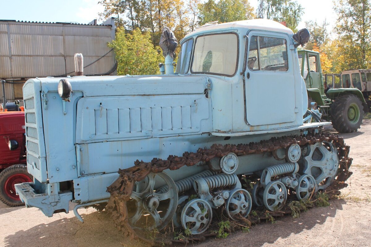 Фото из Яндекс Картинок