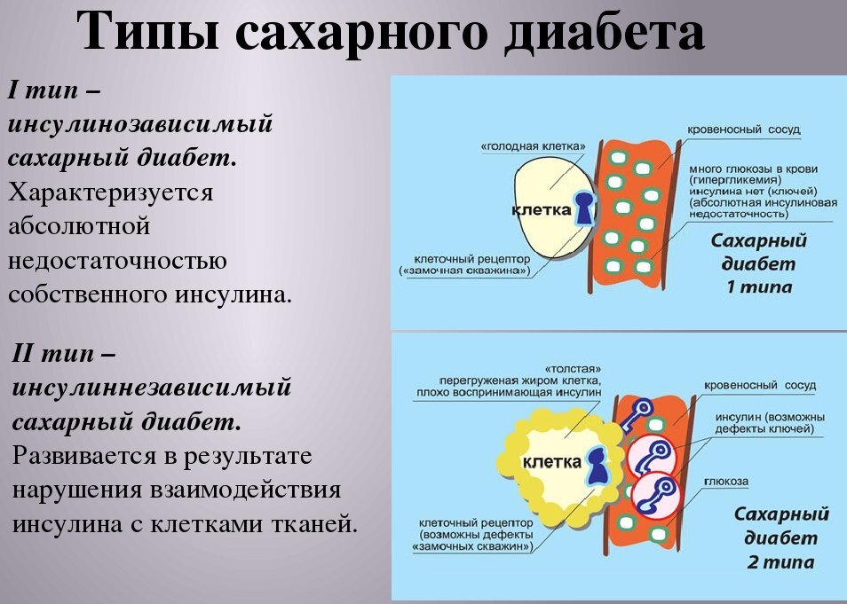 Яндекс картинки